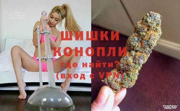 мдпв Волоколамск