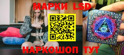 apvp Канаш