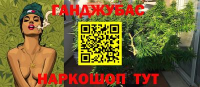 соль ск Камышлов