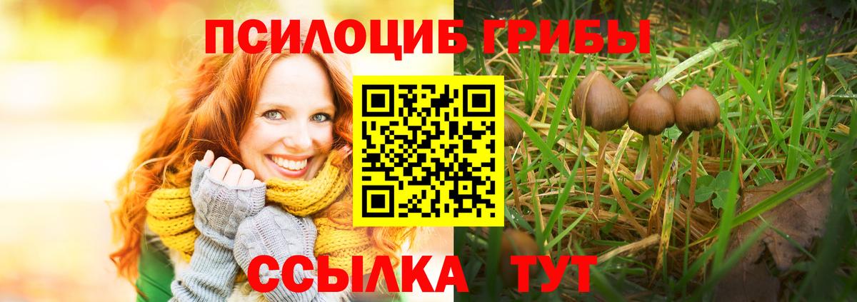 Псилоцибиновые грибы мицелий  Вход с VPN  Галлюциногенные грибы Cubensis  Кыштым 